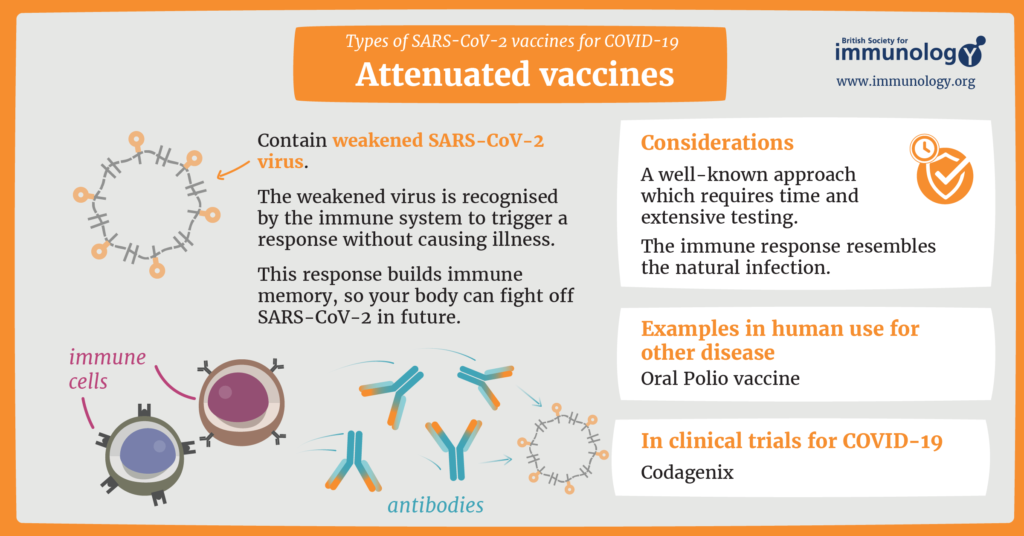 BSI_attenuated_COVID19_vaccine (1) (1)
