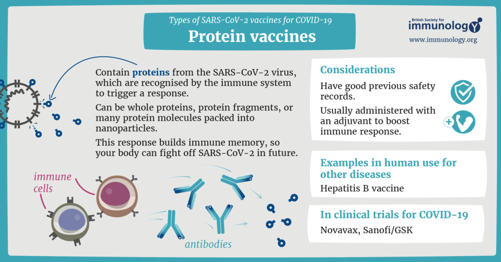 BSI_protein_COVID19_vaccines (1) (1)