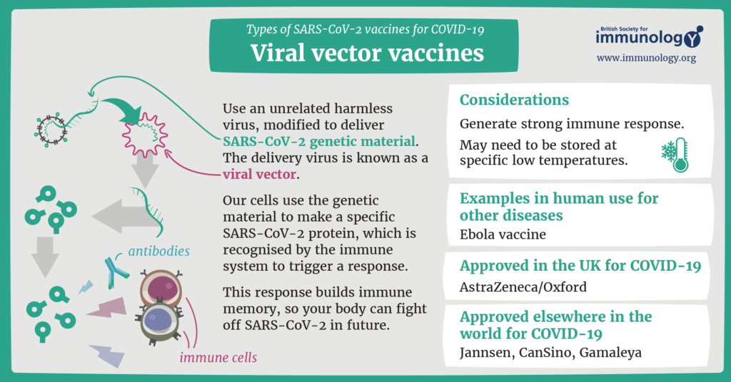BSI_viralvector_COVID19_vaccines (1) (1)