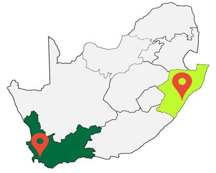 1658222171161