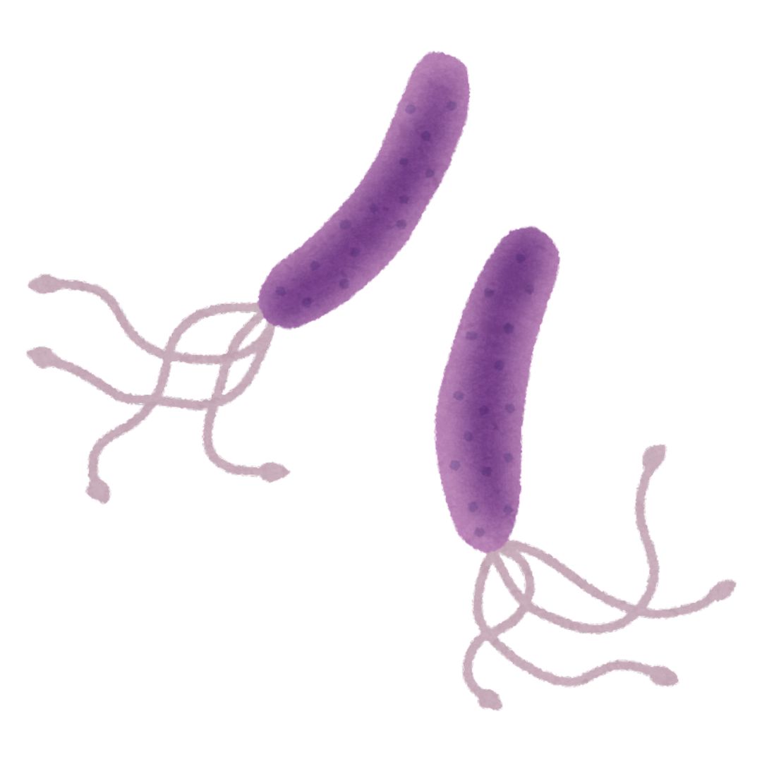 Home-to-Lab UTI Health Testing (10)