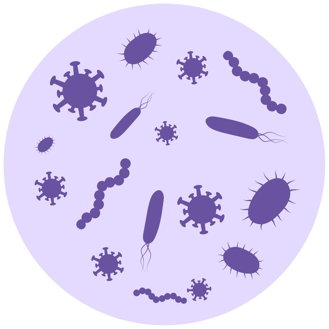 Home-to-Lab UTI Health Testing (18)