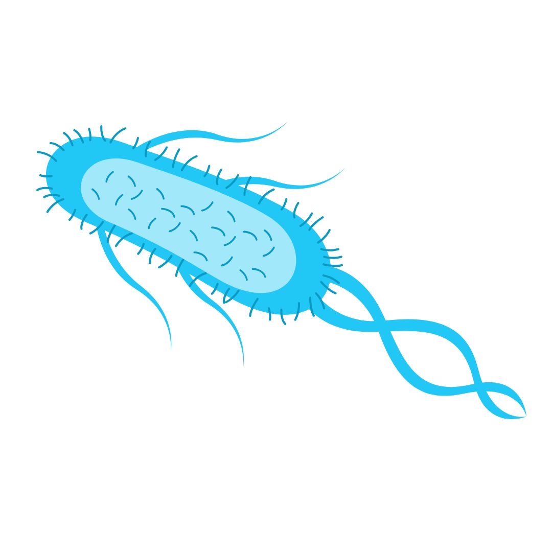 Home-to-Lab UTI Health Testing (23)