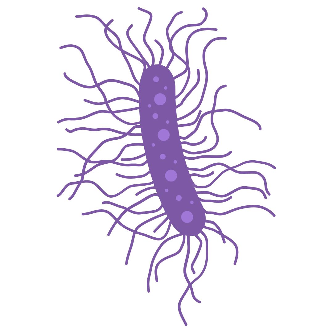 Home-to-Lab UTI Health Testing (27)