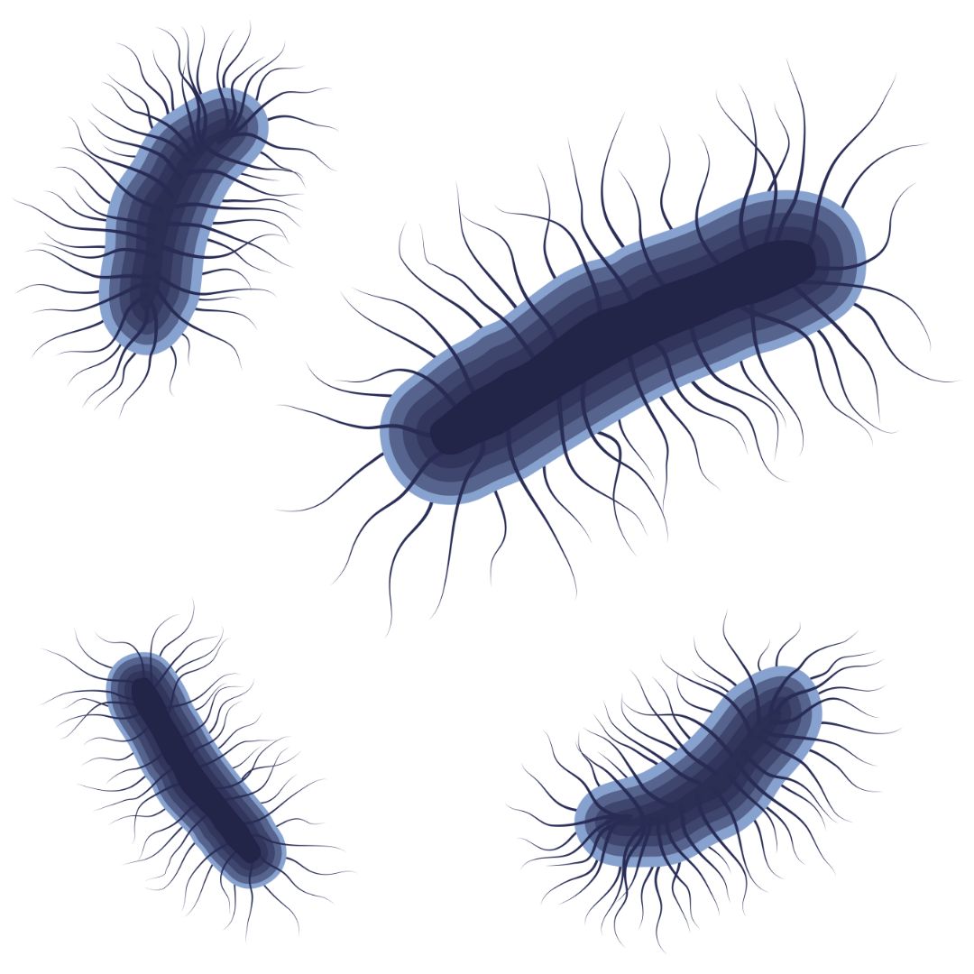 Home-to-Lab UTI Health Testing (35)