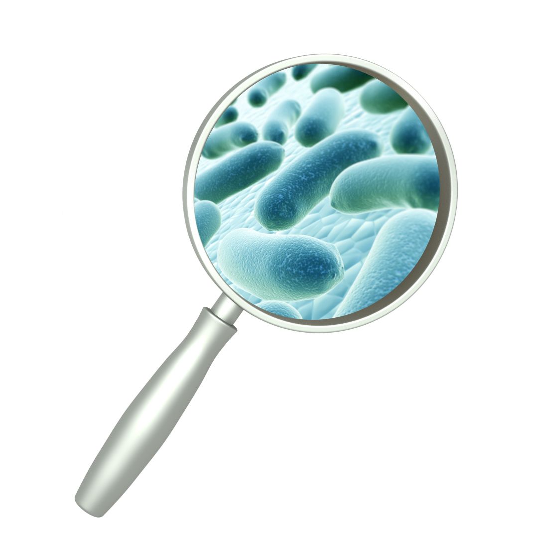 Home-to-Lab UTI Health Testing (4)